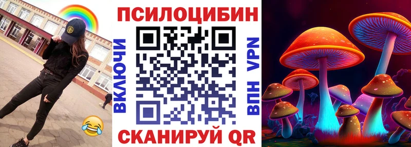 купить наркотики сайты Новосокольники Галлюциногенные грибы Psilocybine cubensis